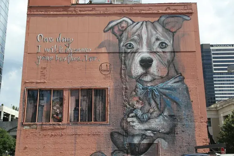 The dog