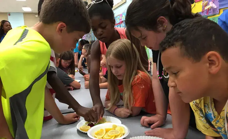 Full bellies, full energy at YMCA Summer Adventure