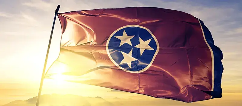 Tennessee state flag