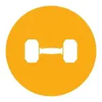 Dumbbell icon