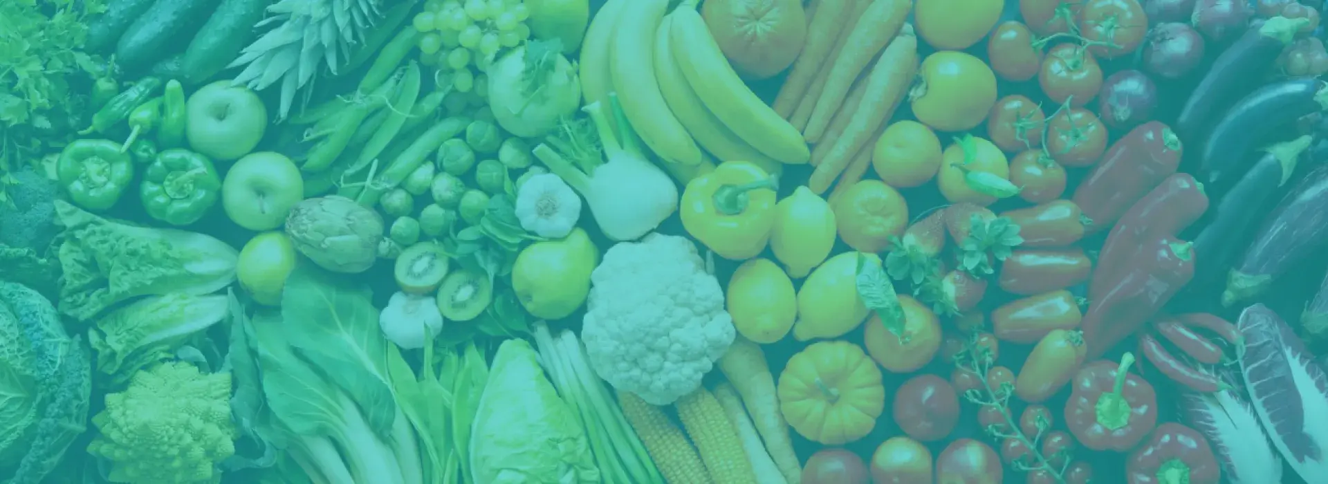 Promotion Banner image of healthy foods